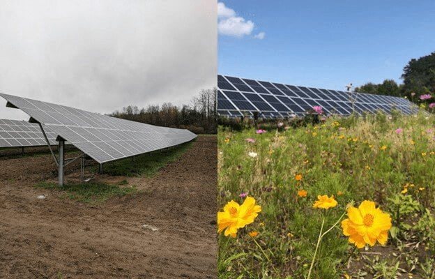 solar helps protect the environment