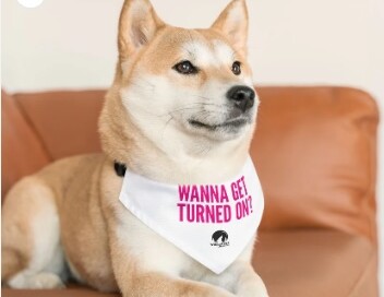 Adorable dog wearing a Wolf River Electric bandana with the slogan "Wanna Get Turned On?" promoting clean energy solutions.