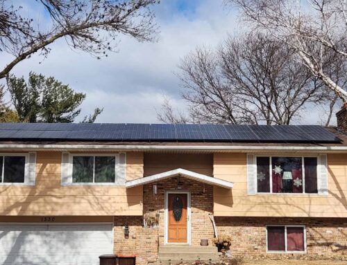 Where to Buy Solar Panels Near Me? A Guide from Wolf River Electric