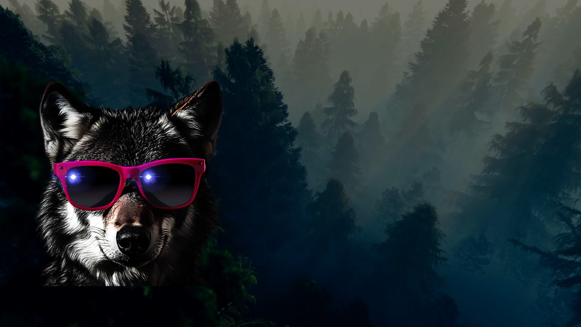 Cool wolf wearing pink sunglasses in a misty, dark evergreen forest background. The wolf's face is lit, contrasting with the shadowy trees behind it, creating a mysterious and stylish vibe.
