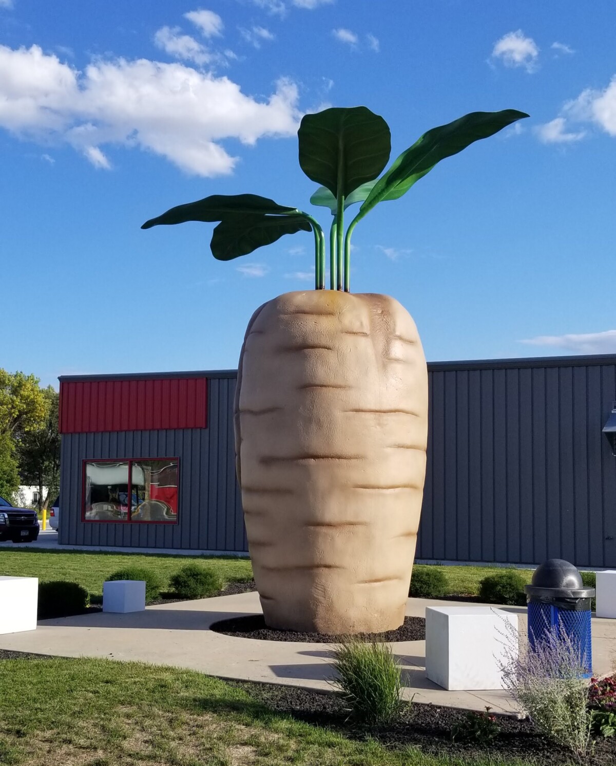 Large statue of a sugar beet during the day. Large statue of a sugar beet during the day.