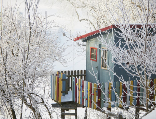 Holiday Energy Tips: 6 Powerful Ways to Cut Winter Bills