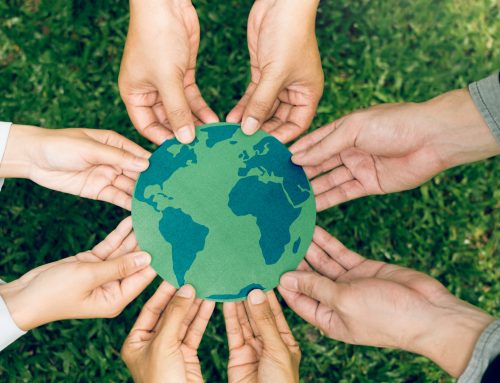 Massive Impact: 8 Bold Sustainability Hacks to Reduce Your Carbon Footprint in 2026