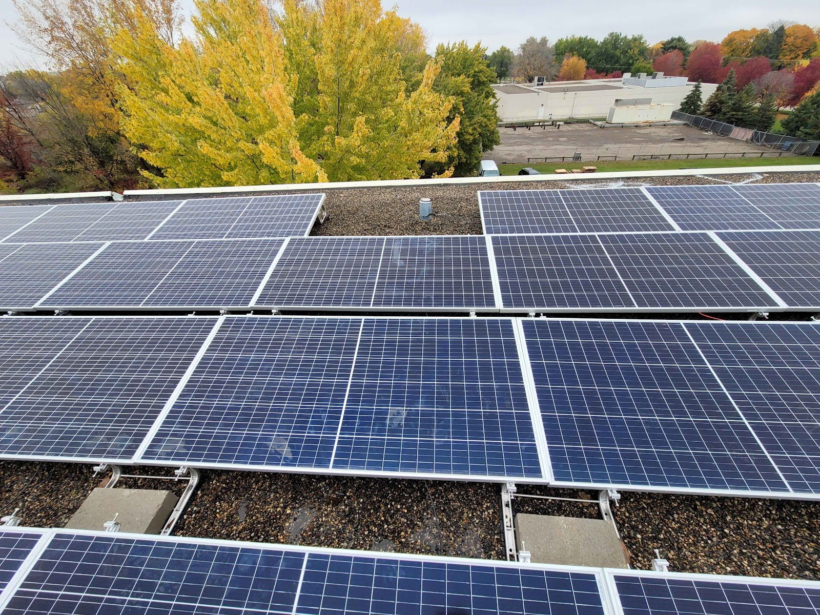 Flat roof solar array fall trees, installed by Wolf River Electric