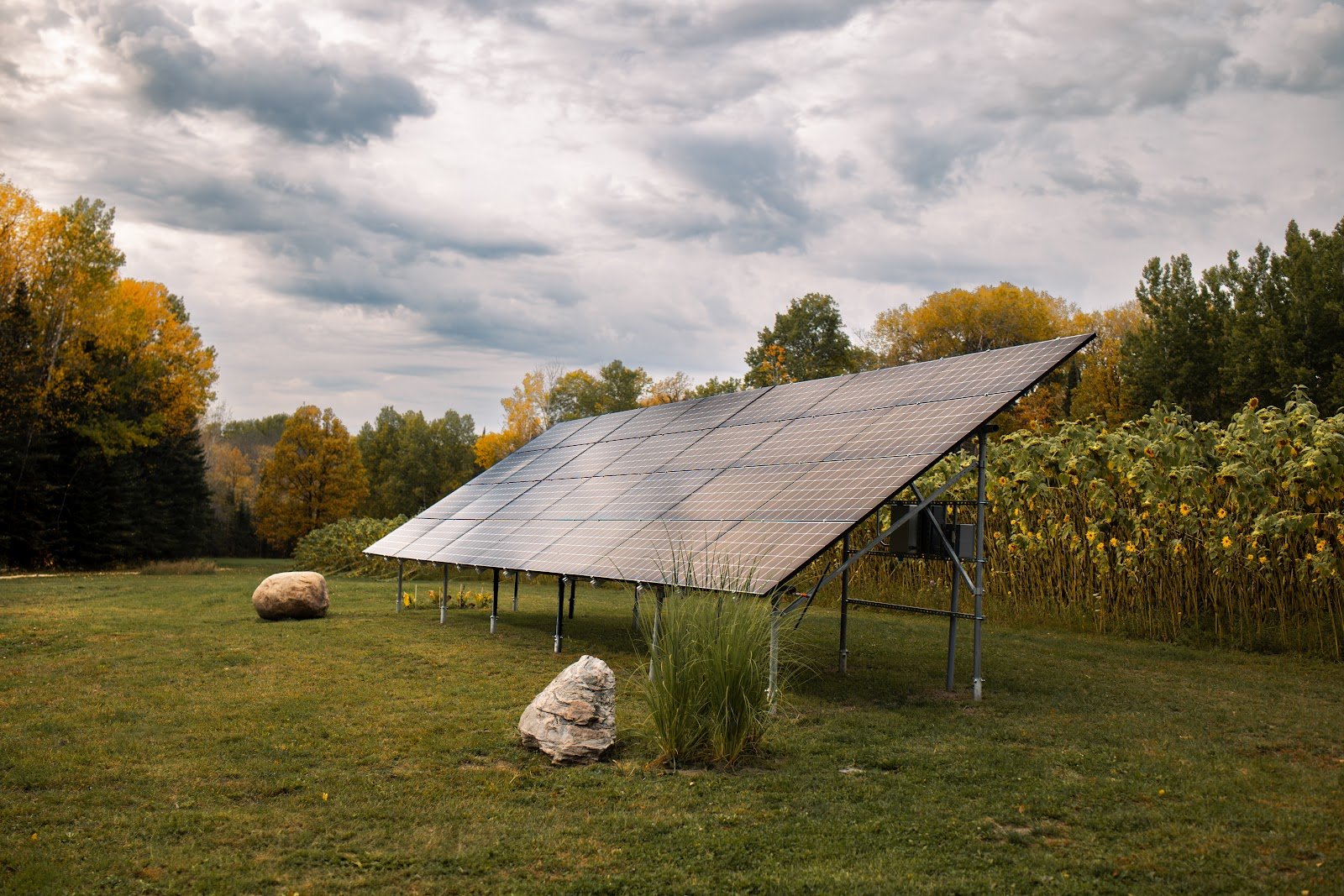 Ground-mount solar array by cornfield, installed by Wolf River Electric