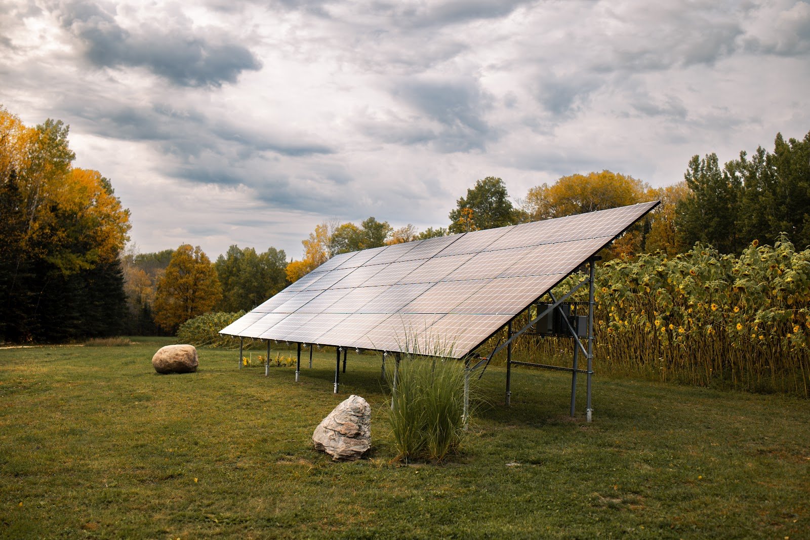 Ground-mount solar array in grass field, installed by Wolf River Electric