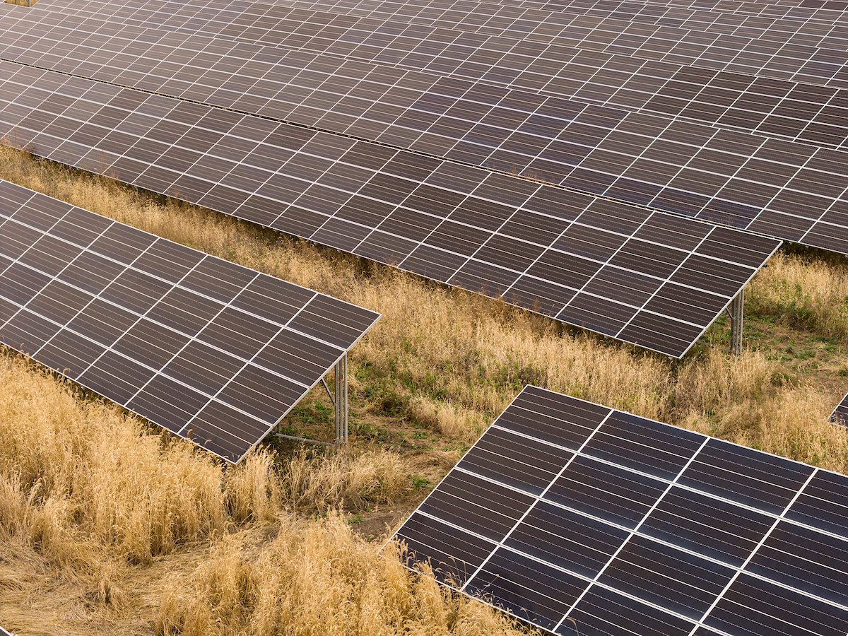 Ground-mount solar tables in autumn grass, installed by Wolf River Electric