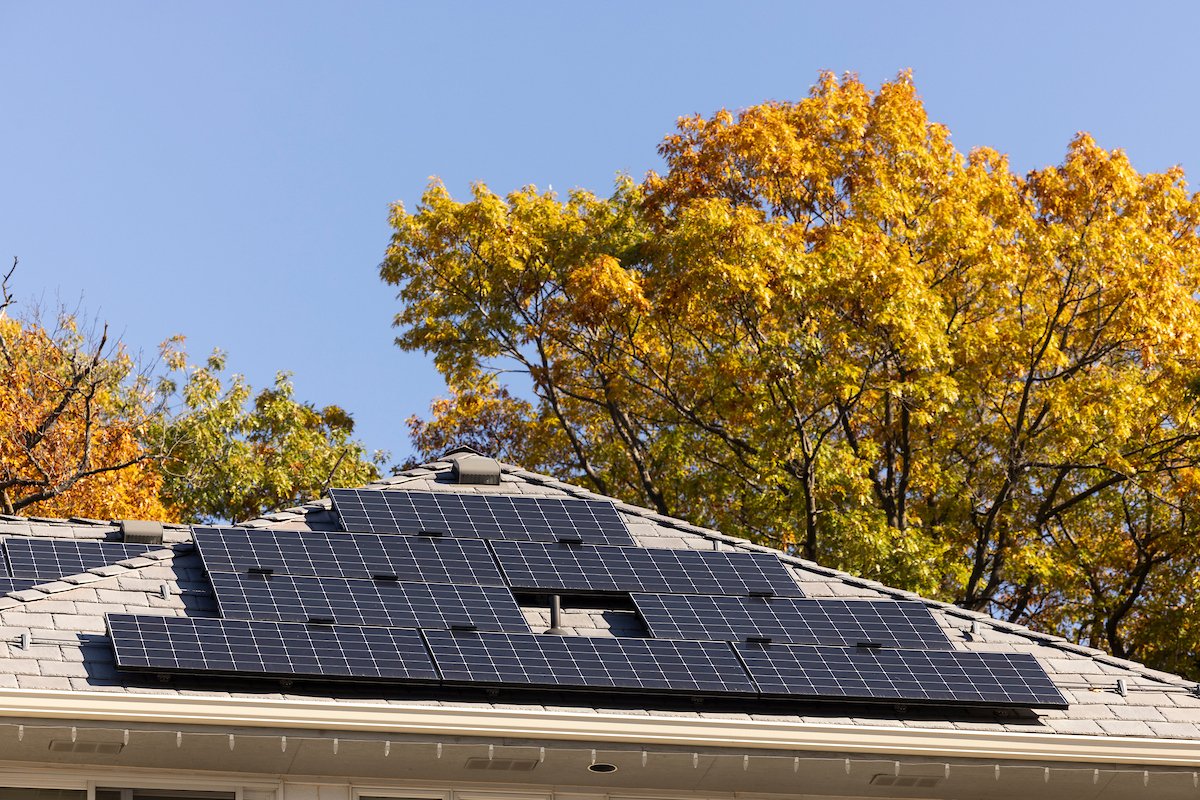 Rooftop solar panels with fall trees behind Log home with solar panels, installed by Wolf River Electric