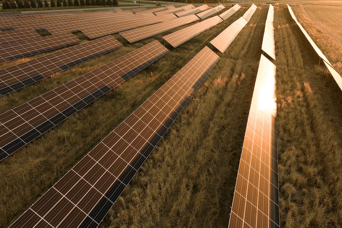 Sunlit solar farm rows from above, installed by Wolf River Electric